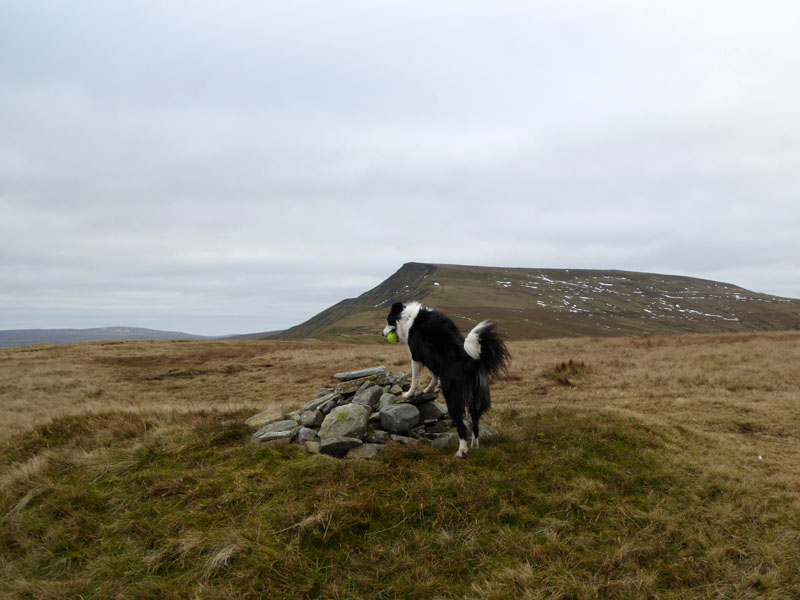 Little Fell Summit