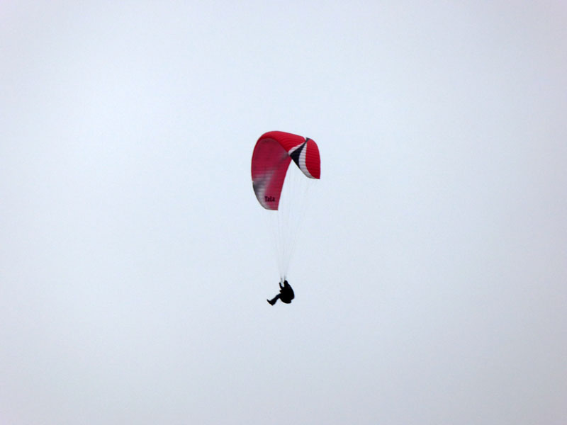 paraglider