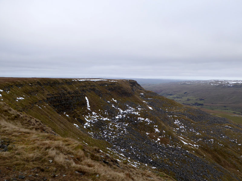 Blackbed Scar