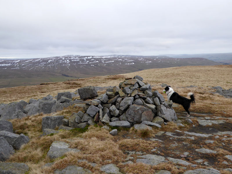 Swarth Fell