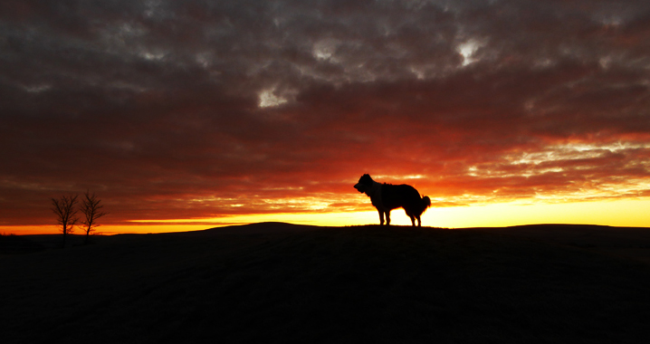 Sunrise 24th Feb