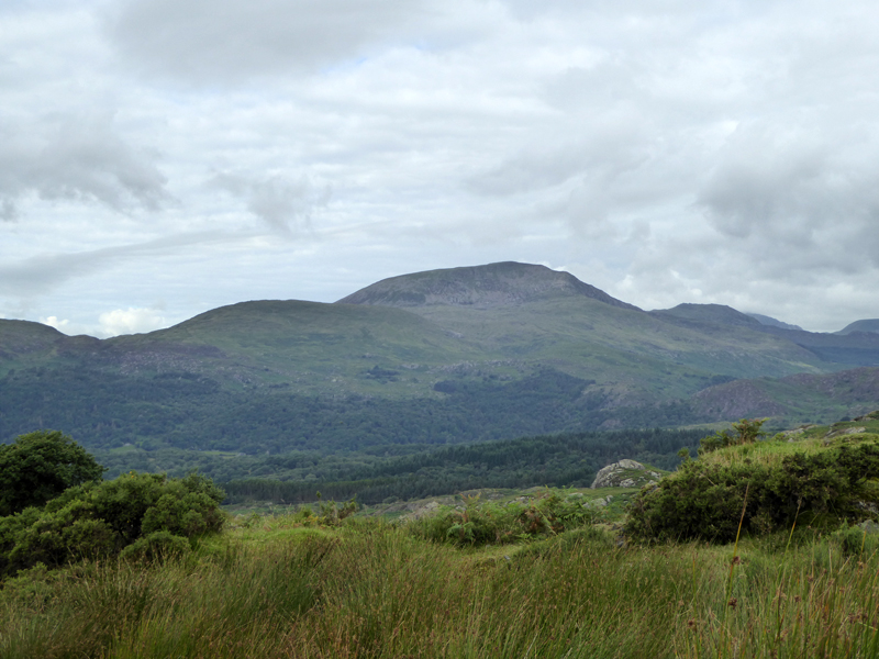 Moel Hebog