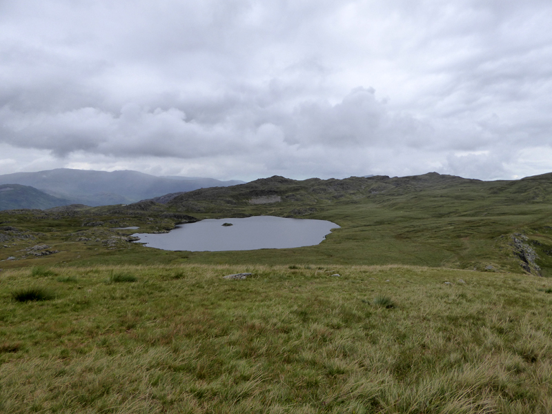 Llyn yr Adar