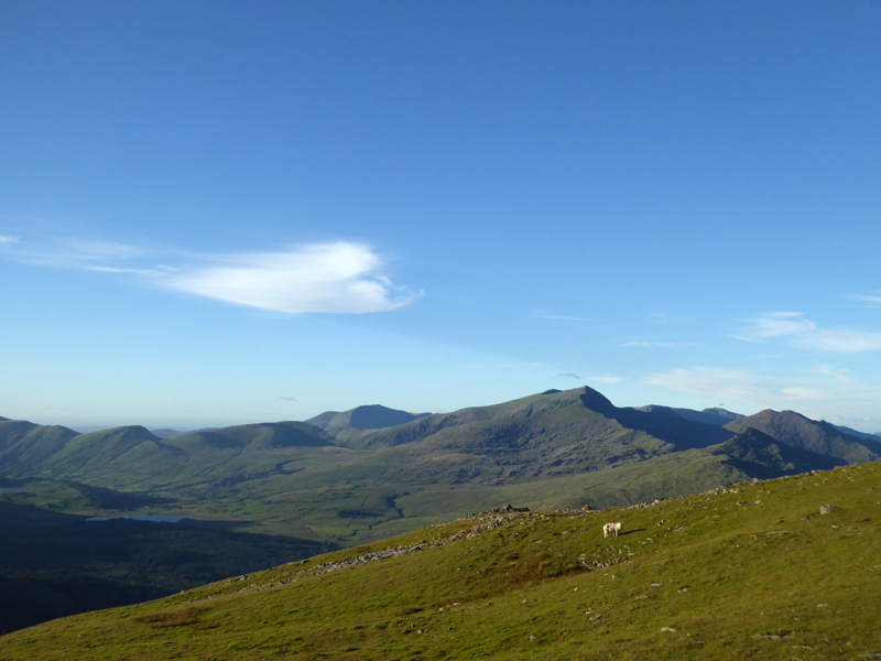 Snowdon