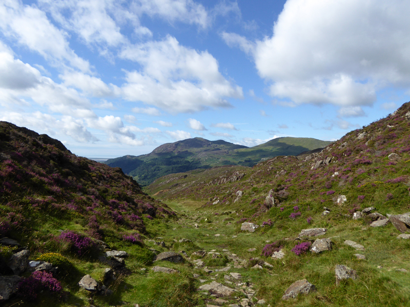Cwm Bychan