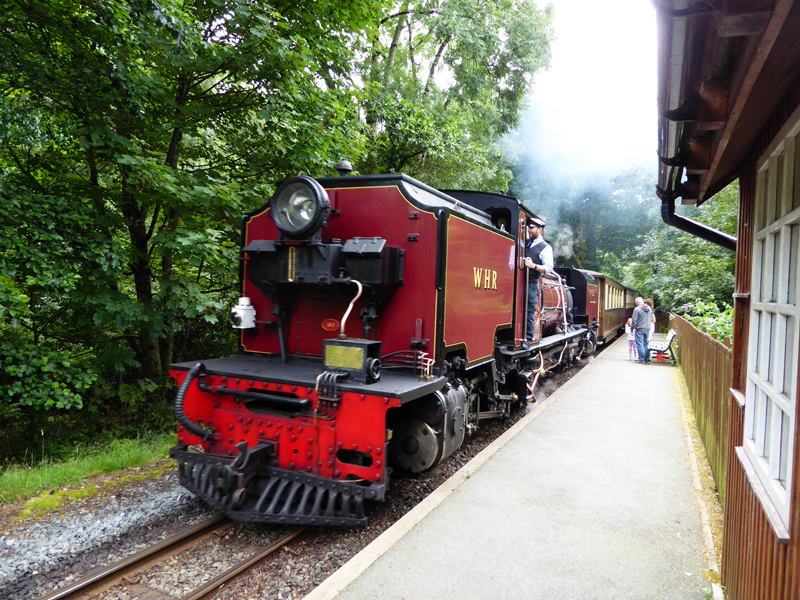 Bayer Garratt 138