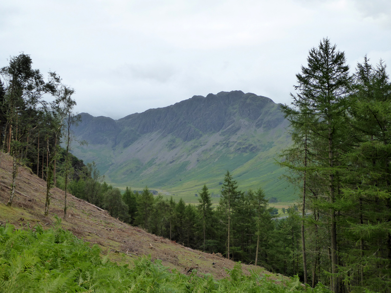 Haystacks