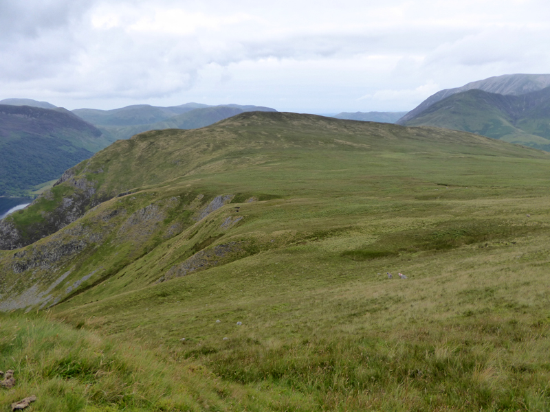 Buttermere Moss