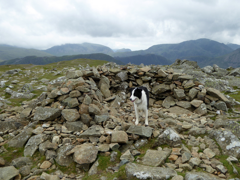 Hindscarth Summit