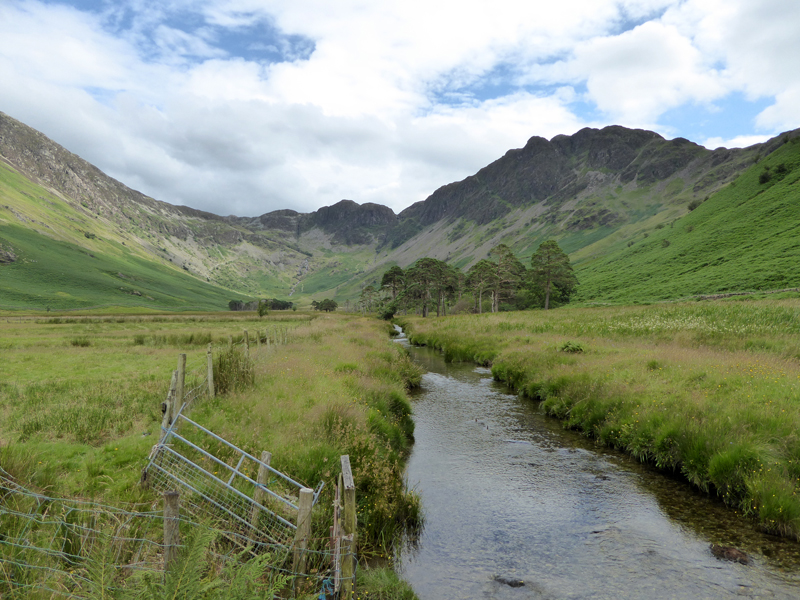 Warnscale Beck