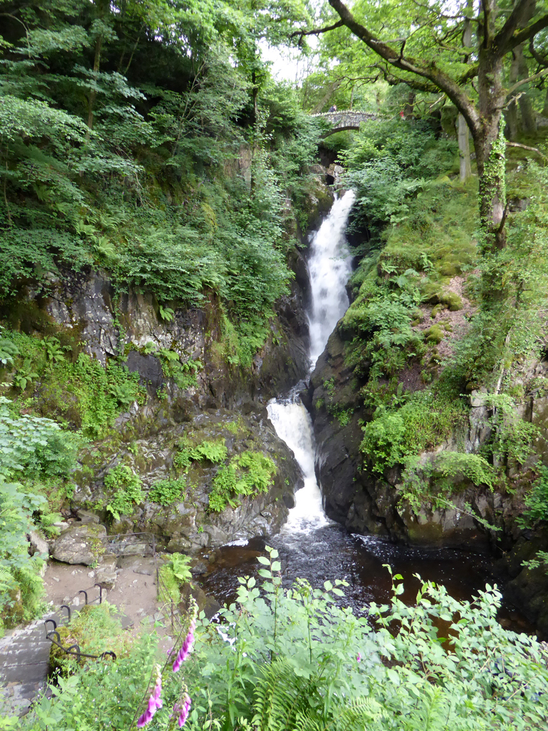 Aira Force