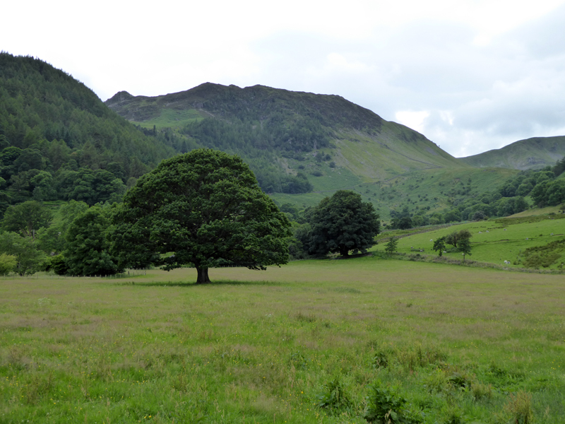 Glencoyne