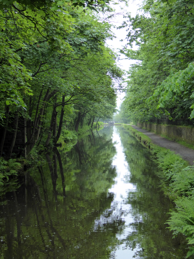 Narrow Canal