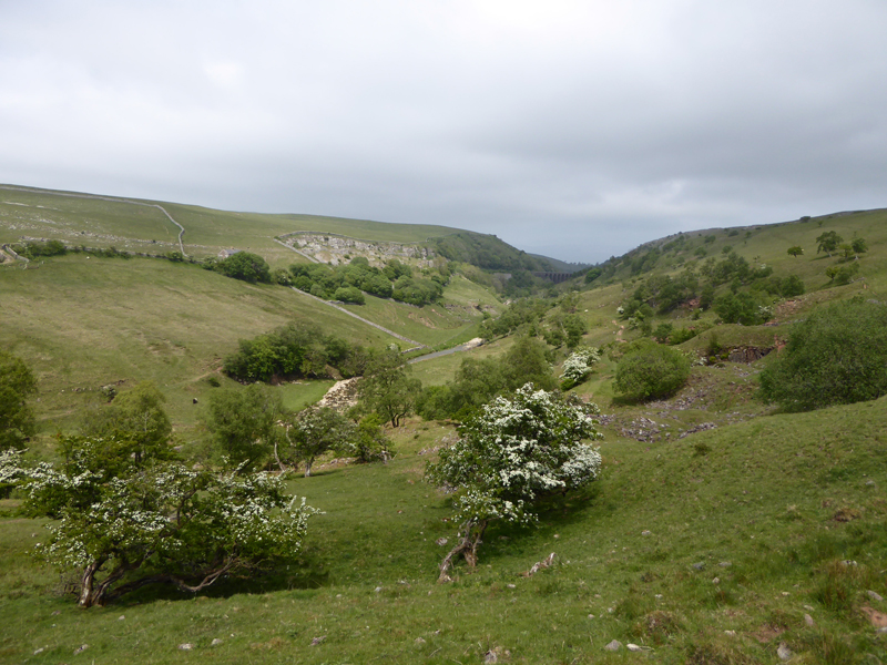 Smardale Gill