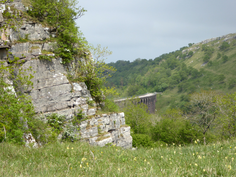 Limestone Smardale