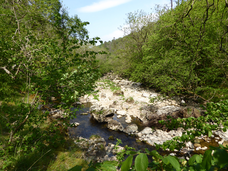 Smardale Gill