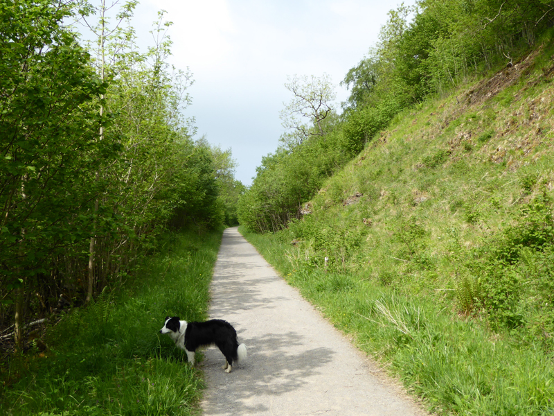 Stainmore line