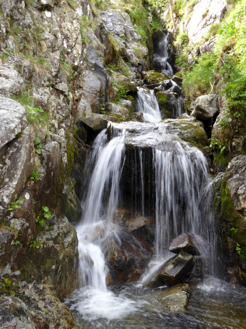 Brund Gill