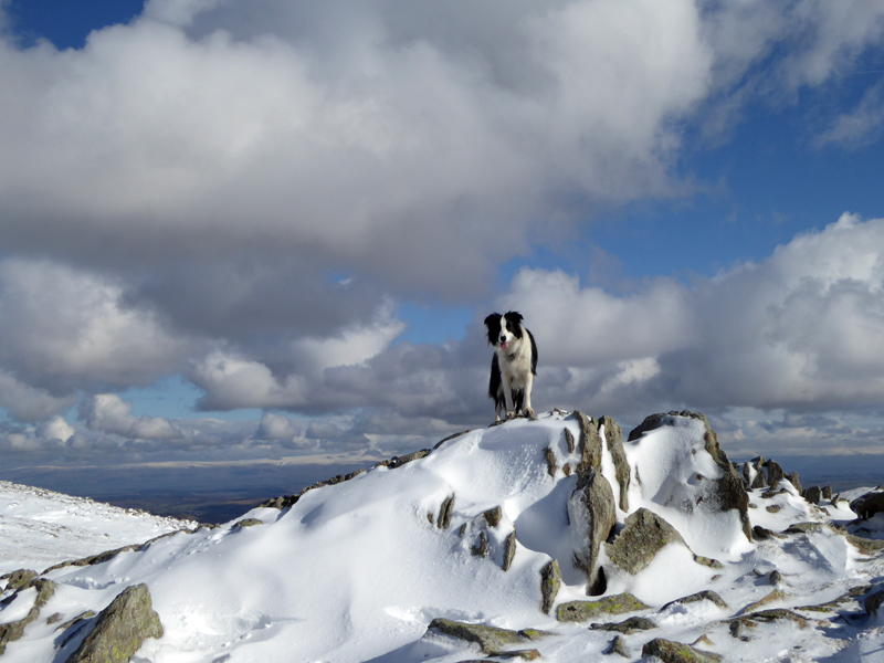 Mardale Ill Bell
