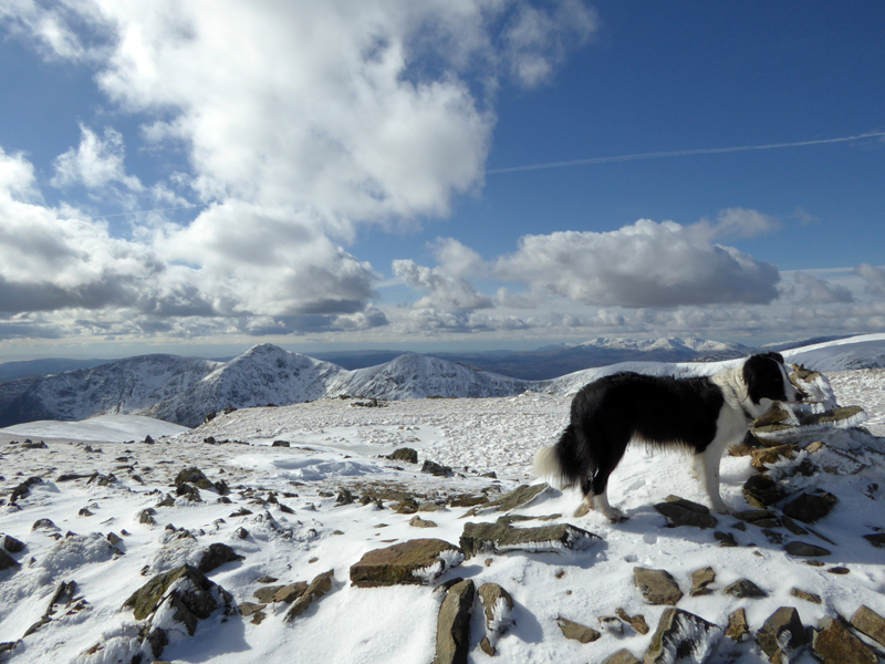 Snowy March
