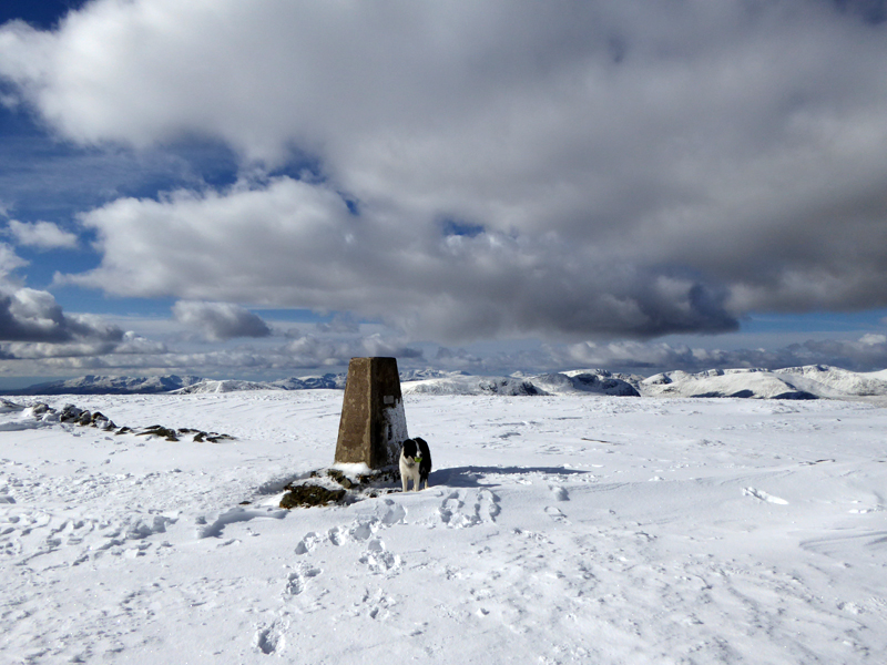 High Street Summit