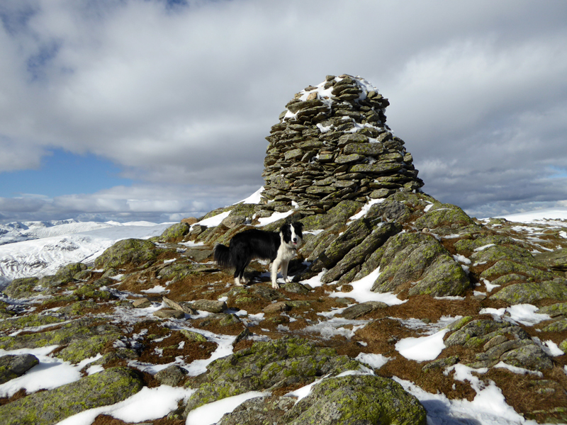 Ill Bell Summit