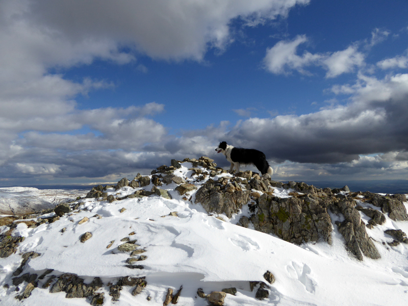 Yoke Summit