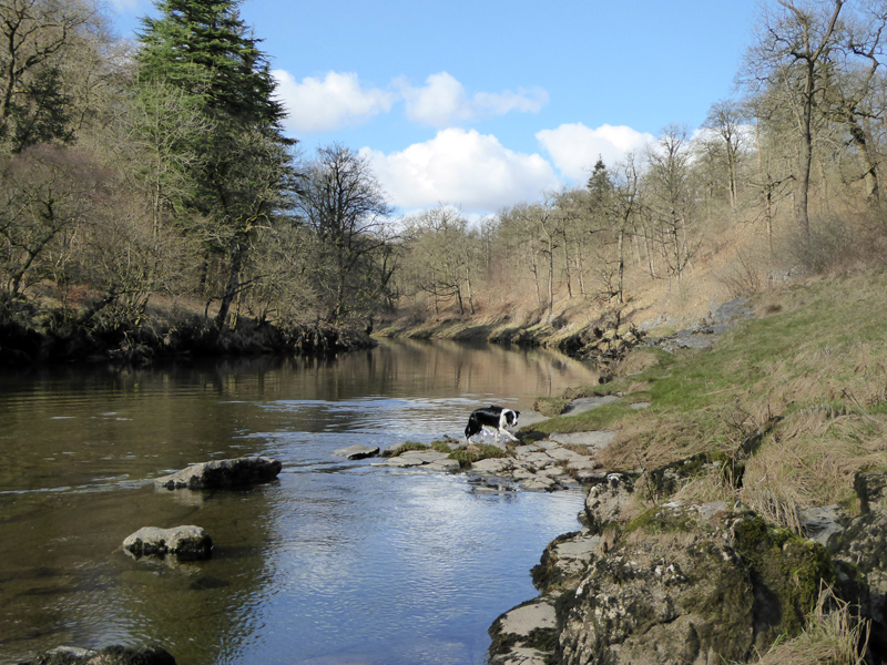 Wharfe
