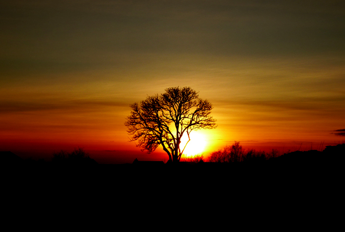 February Sunset