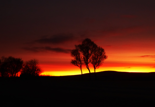 Sunrise Nelson