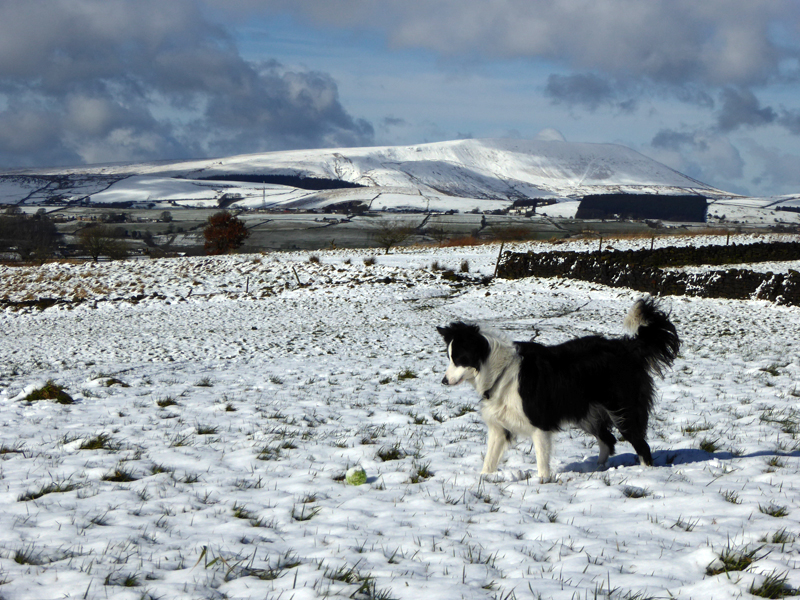 Snowy Pendle