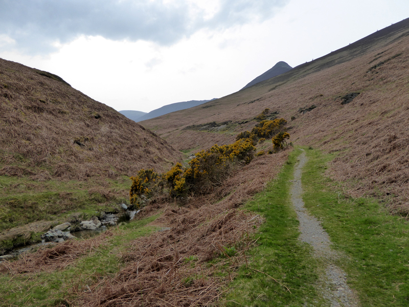 Rigg Beck