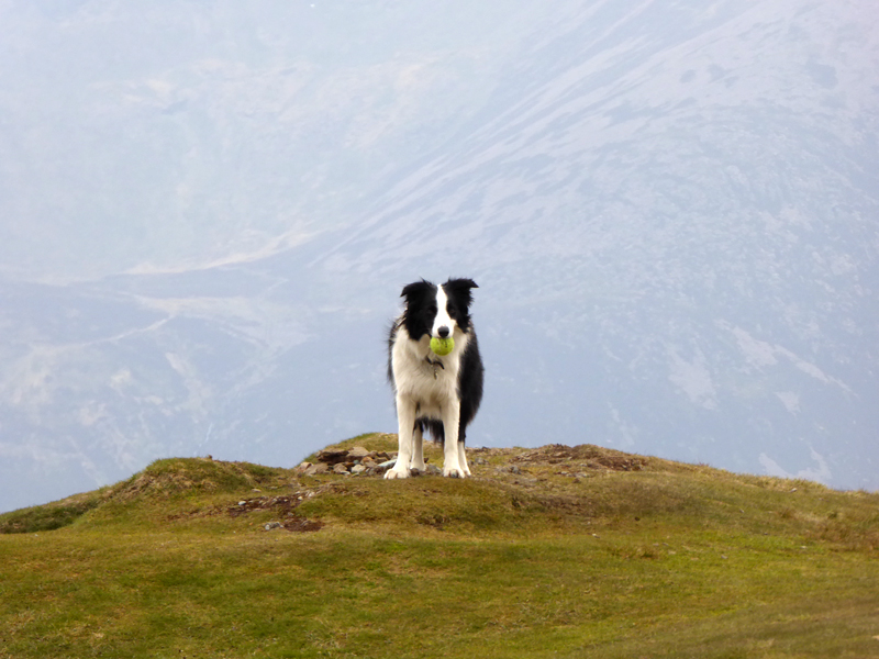 Knott Rigg Summit