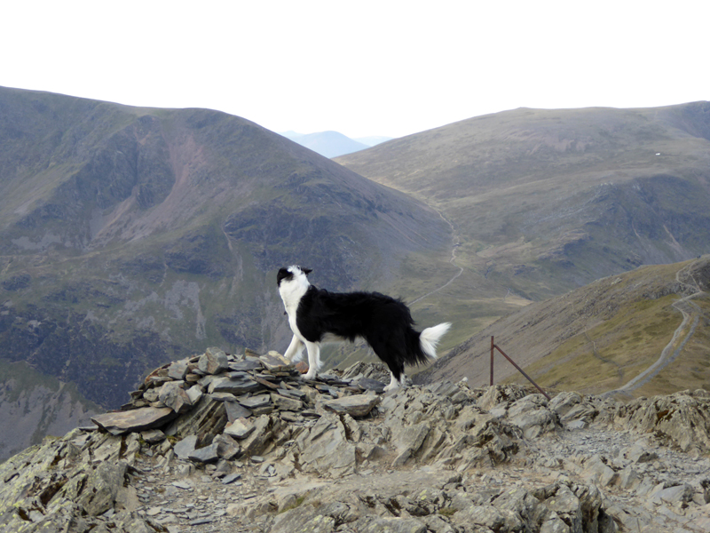 Grisedale Pike