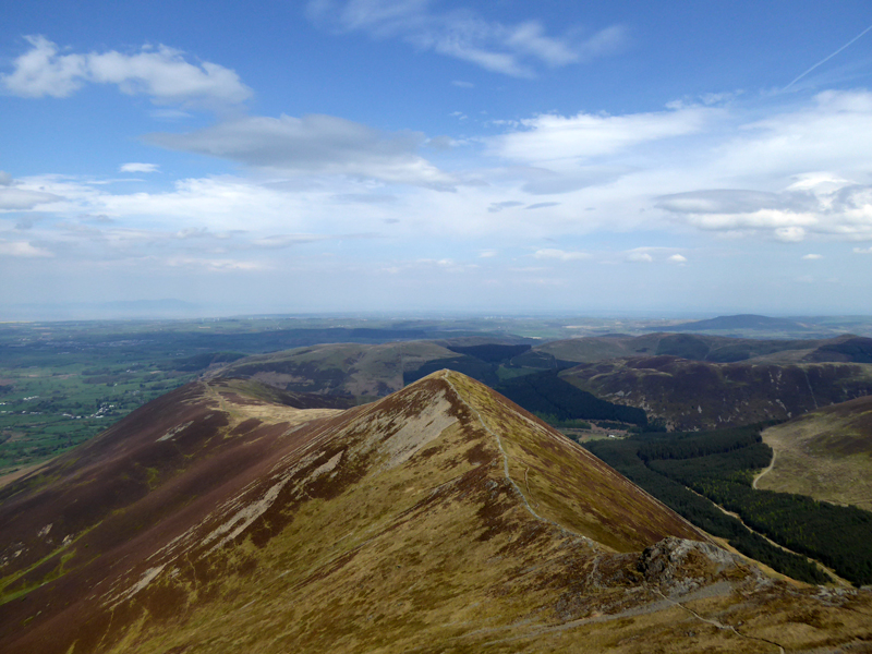 Ladyside Pike