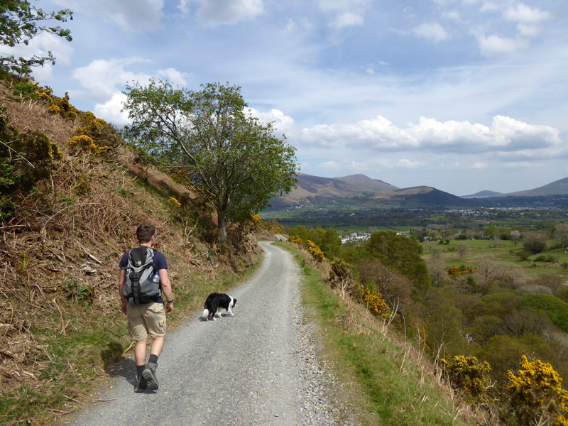 Coledale Mine Road