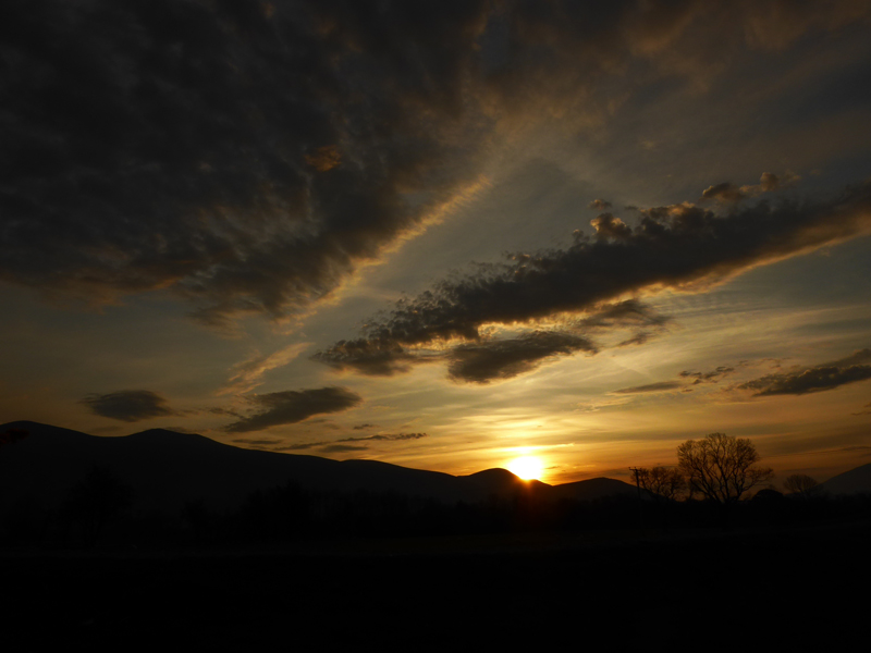 Sunrise Braithwaite