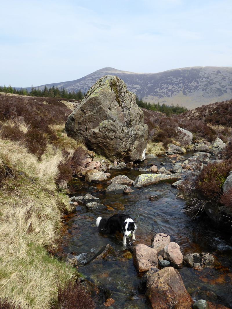 Low Beck