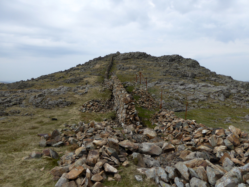 Wall repairs