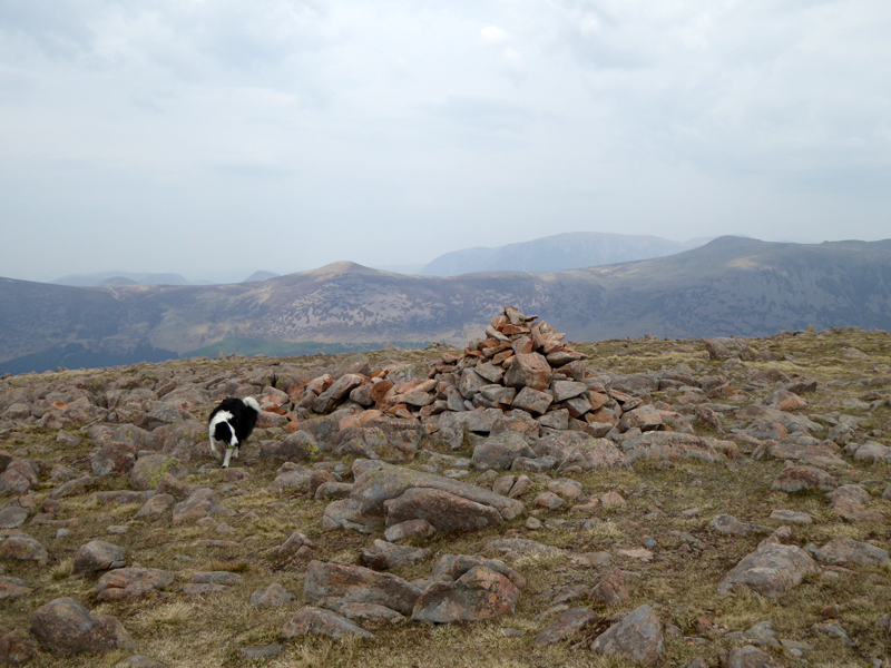 Caw Fell Summit