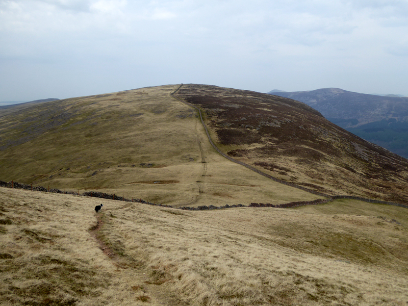 Iron Crag