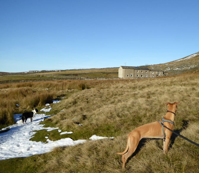 Hag Dyke