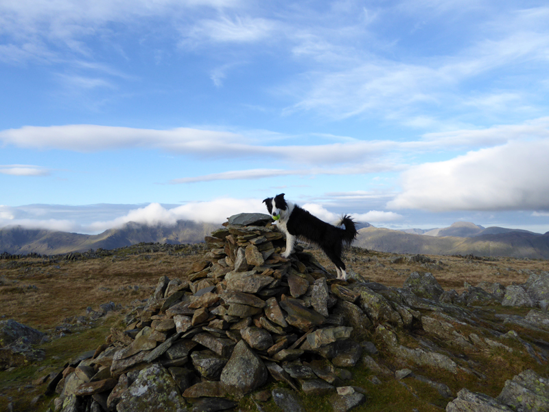 Thunacar Knott Summit