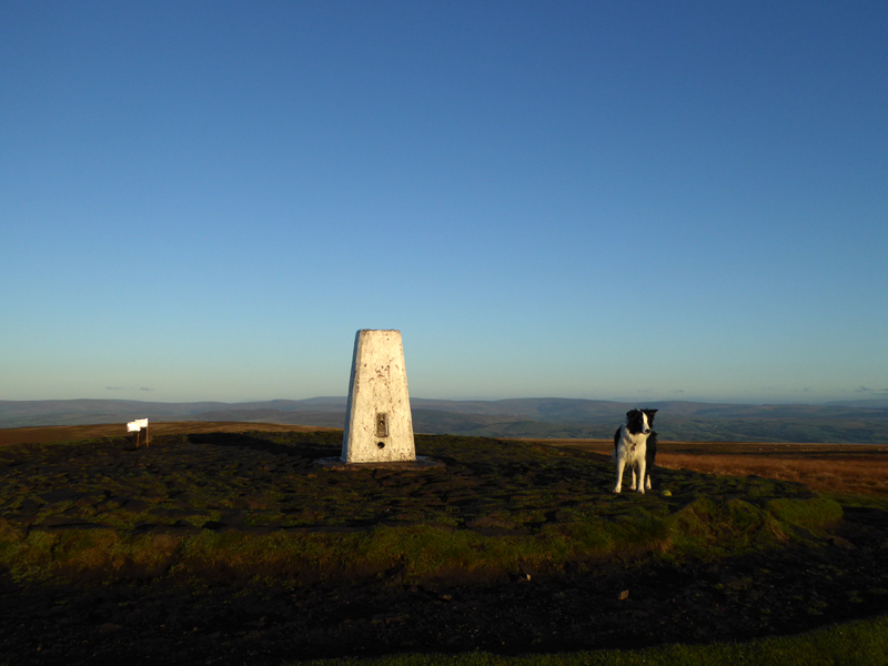 Molly Pendle Hill