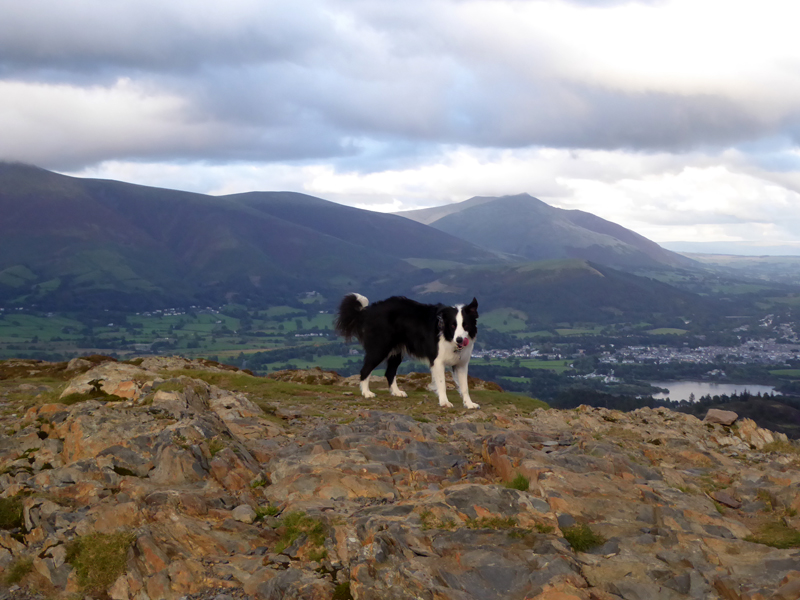 Barrow Summit