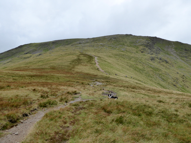 To Green Gable