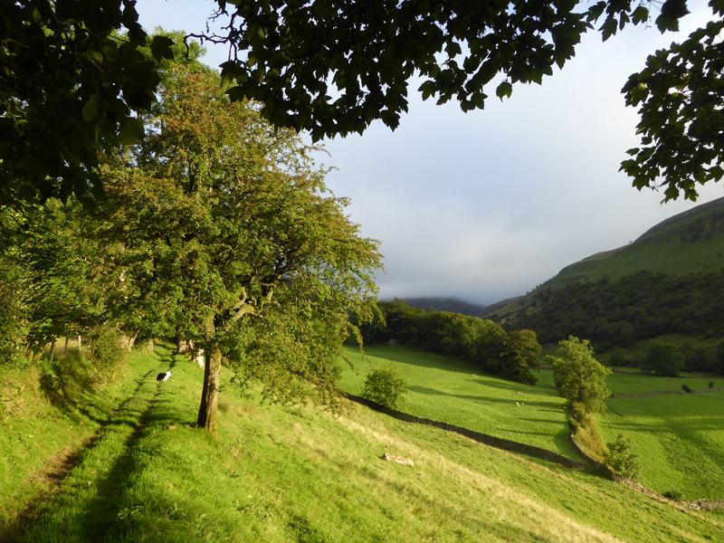 Swaledale