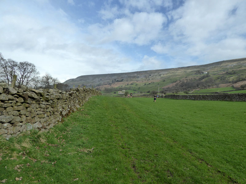 Reeth Fields