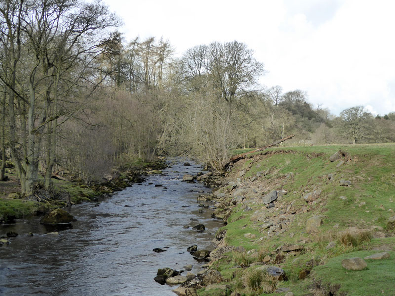 Arkle Beck