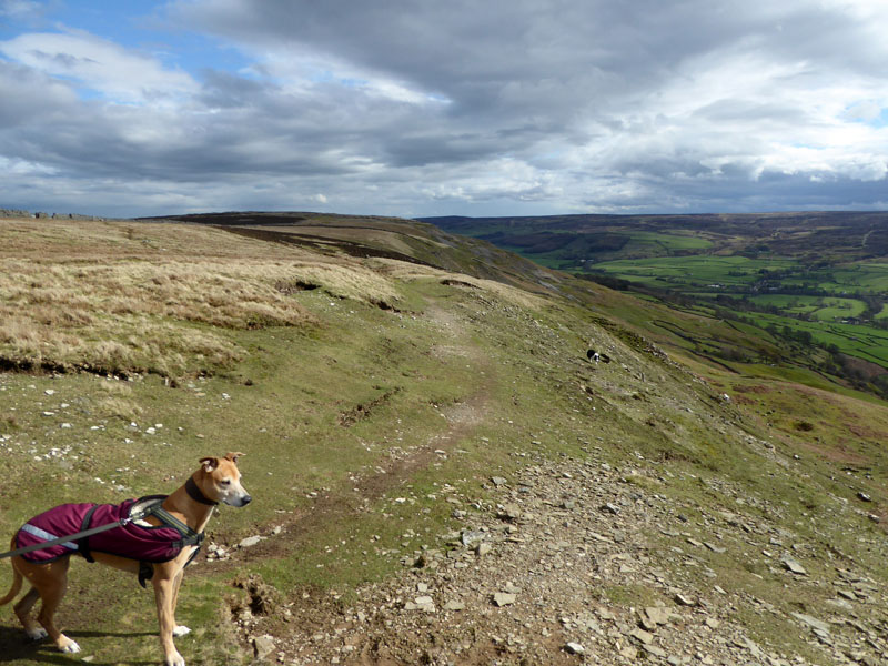 Fremington Edge